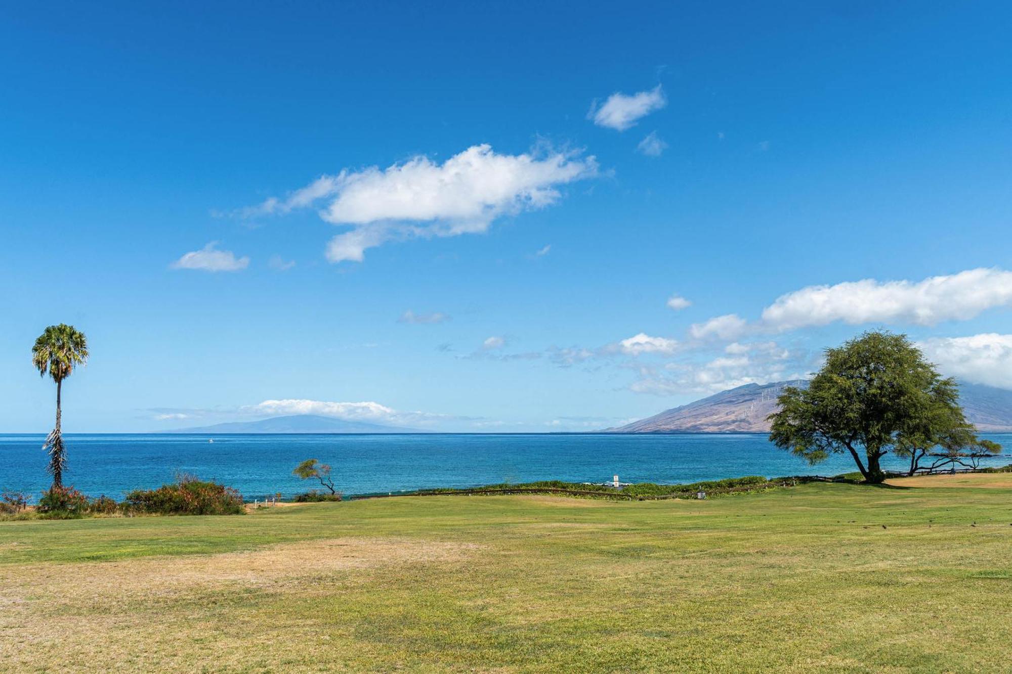 Apartamento Maui Banyan Q-109 Wailea  Exterior foto